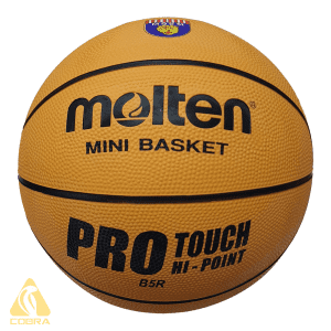 Molten LB5R Pro Touch Basketball