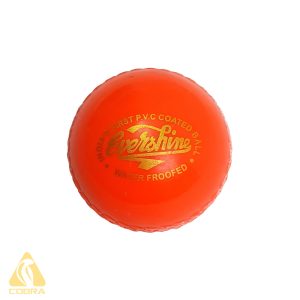Flash Evershine Cricket Ball